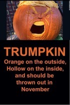 We're on the home run, let's stand together for a blue wave 🤗🌊 (Trump thread #107