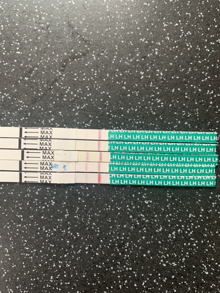 Did I ovulate?