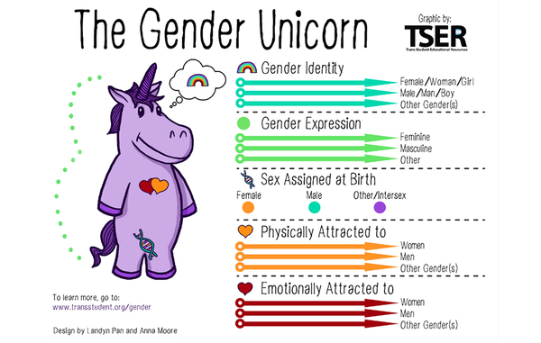 Genderbread image: letter for schools