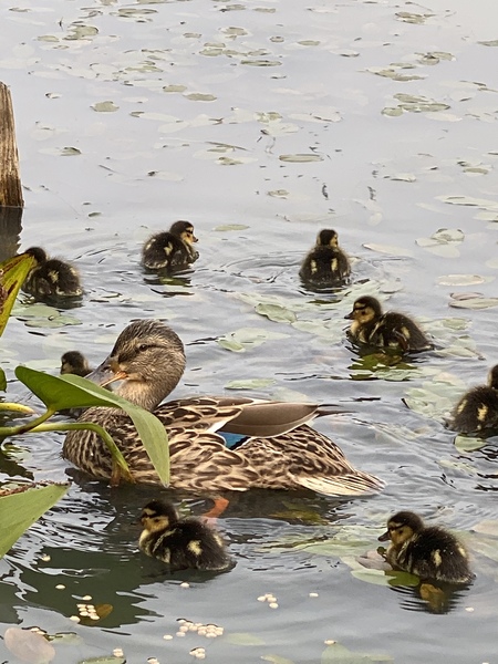 NOT what I expected to wake up to this morning...