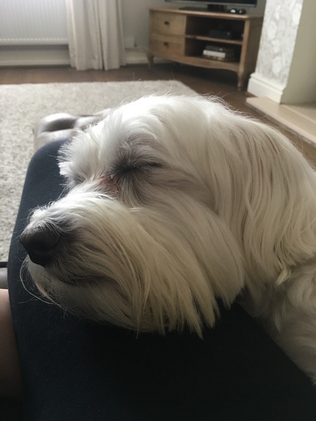 Any Witches Here? Part 12.