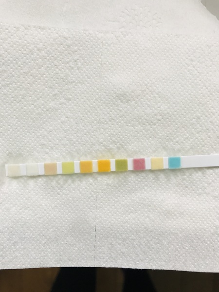 2020 Pre-Christmas Low Carb Bootcamp.  The first week!