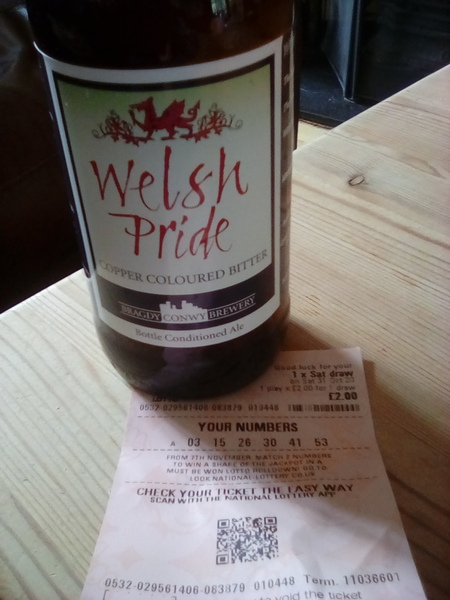 To ask what on Earth wales are doing?