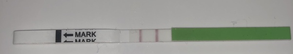 Is this a positive ovulation test?