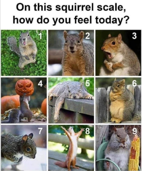 Westminstenders: The Tunnel or Bridge