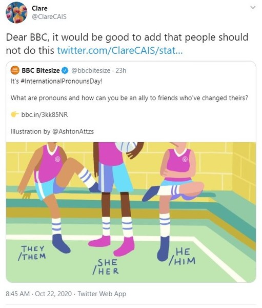 BBC Bitsize - Pronouns