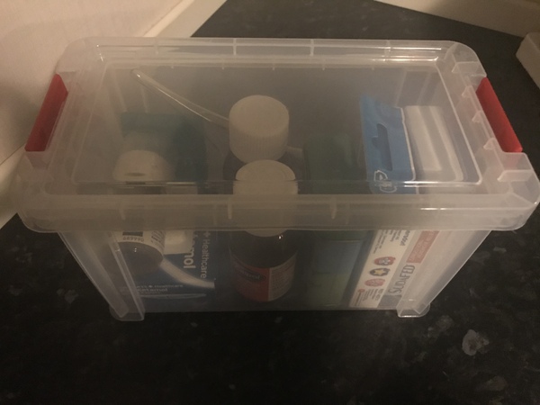 Getting rid of one item a day thread number 14 – where we extract precious autumn leaves, rocks and twigs from our children