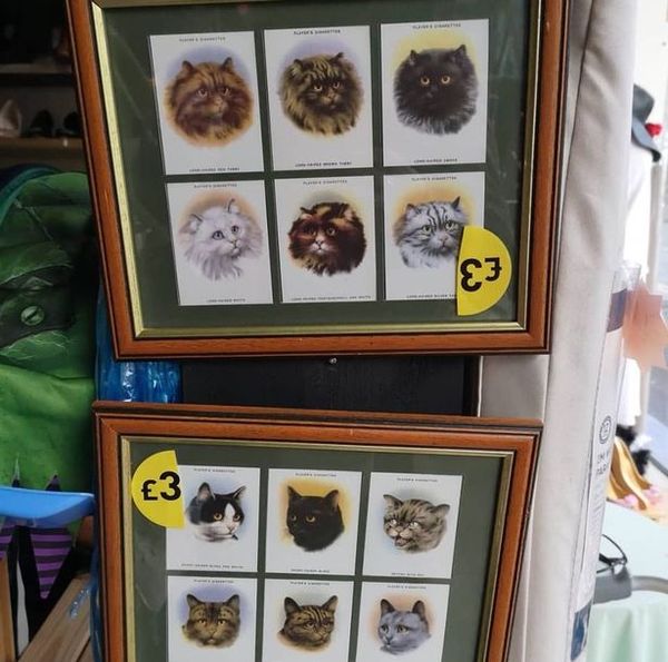 MIL has given us a massive picture I really don’t like