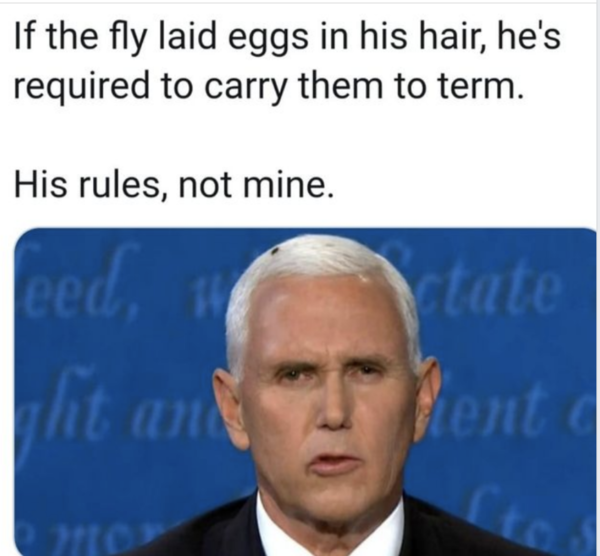 The final countdown to Election Day 2020 is on (Trump thread #106)