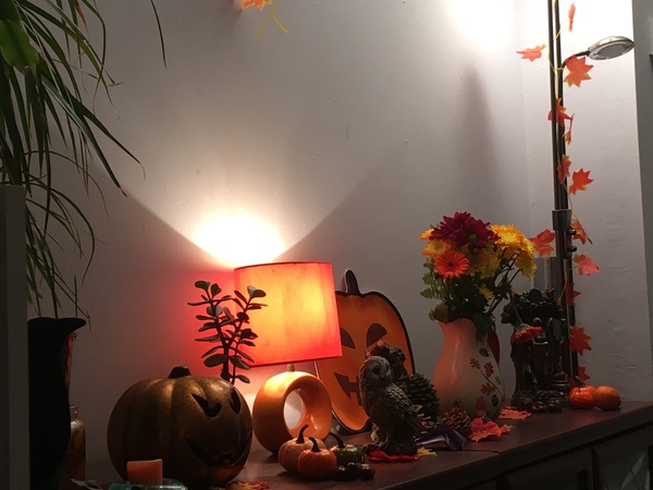DD is mocking me because I'm putting my winter decor up.