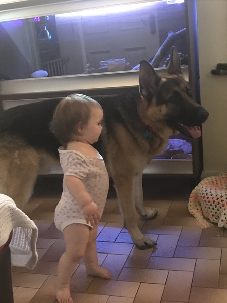 To ask you to tell me about your pets?