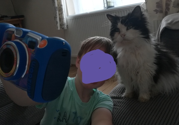 Could you please show me a really funny picture of your cat?
