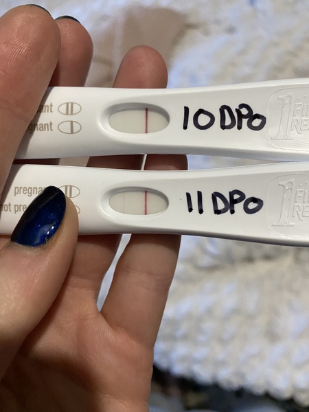 Ttc 12 months plus