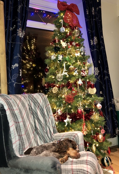 Hit me with your Christmas tree ‘themes’