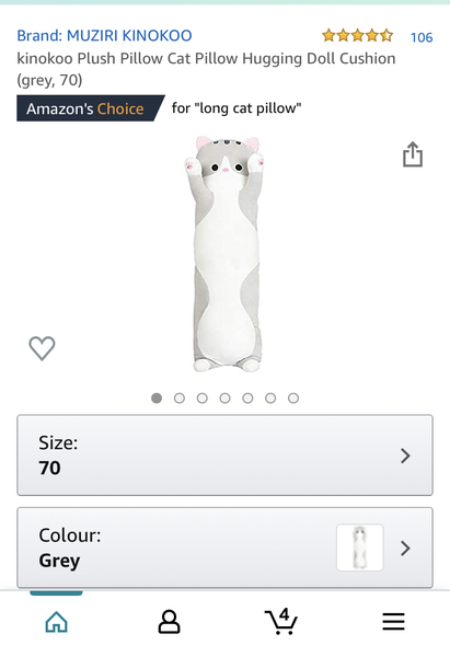 Cat-themed gifts for 10 year old boy