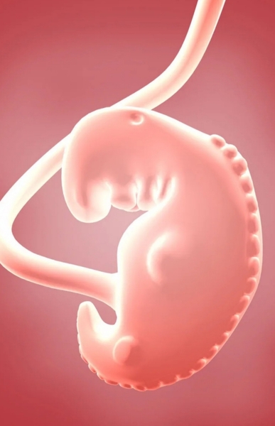 First Trimester Scottish Mamas