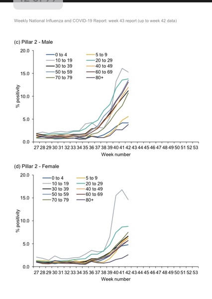 We must stop making policy based on PCR testing