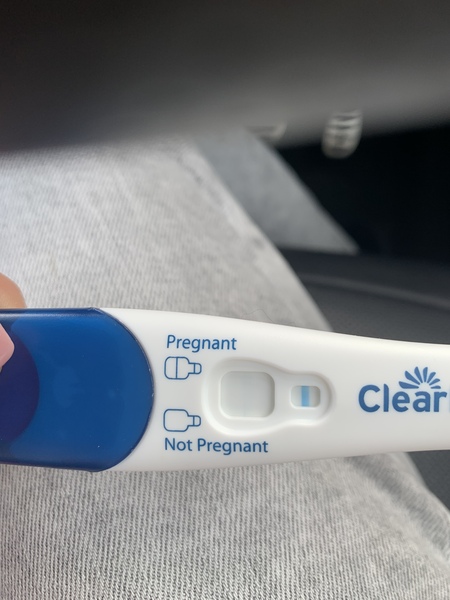 BFP rainbow babies