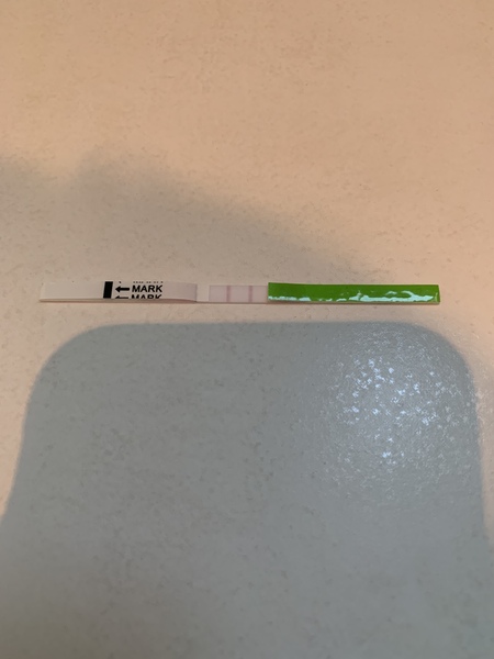 Tracking your cycle and possible BFP using RHR - part 4