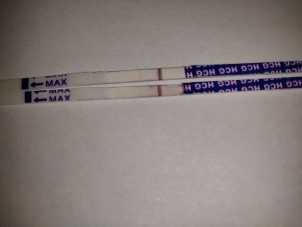 Evap or faint positive [picture warning]