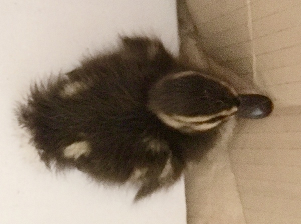 NOT what I expected to wake up to this morning...