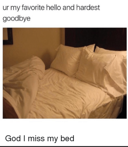 To stay in bed because its wet and dark outside?!