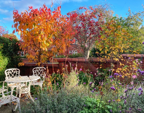 Westminstenders: What the winds bring