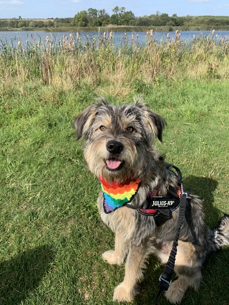 My dog is the best dog