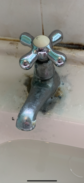Please help me respond to this cleaning client!!