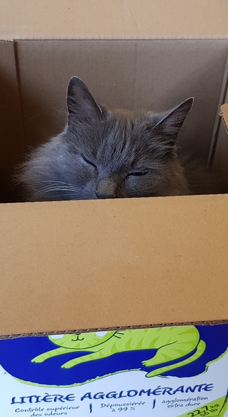 What's your DCat up to today? (Thread 8)