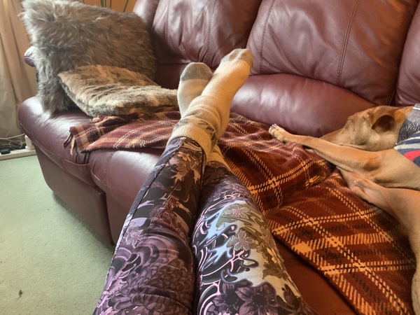 What are you wearing today? Autumn 2020