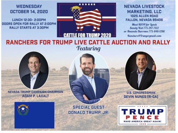 The final countdown to Election Day 2020 is on (Trump thread #106)
