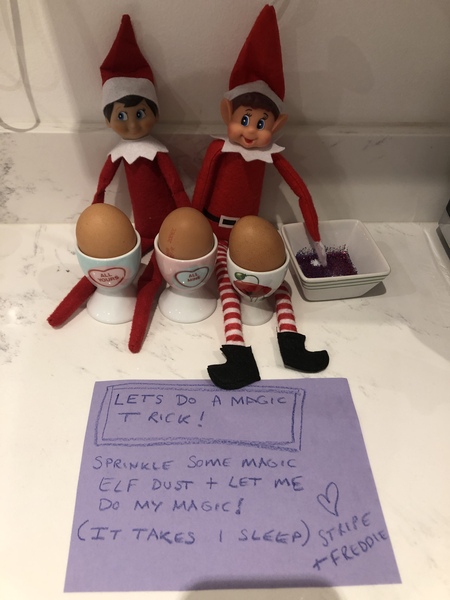 What will your elf be up to?