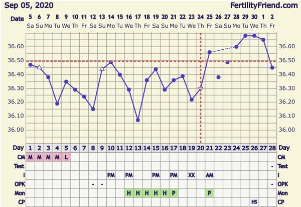 BBT ovulated?