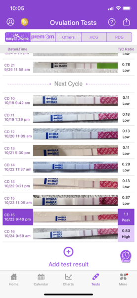 TTC after MC - October 2020 (Thread 14)