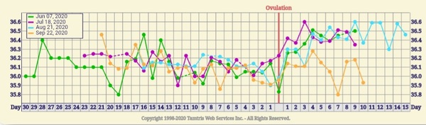Chart help! Have I ovulated or not this cycle?