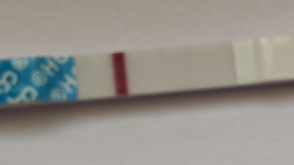 Pregnant or not?