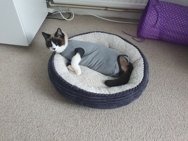 Post surgery recovery vest