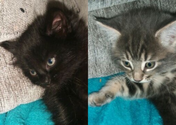Name ideas anyone?