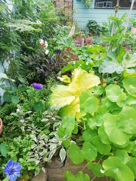 The Perfect Home Compost