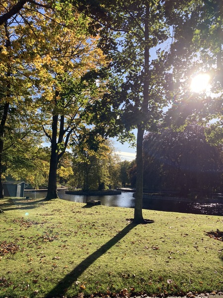 Perfumistas in Autumn: Crunchy leaves, bonfires & smoke in the air, the smell of Petrichor & the rich perfumes of Vanilla & Hot Chocolate. Thread 28.