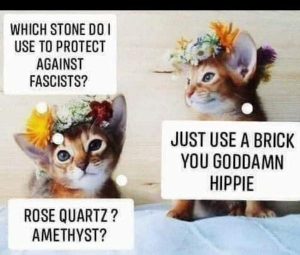 Westminstenders: The Tunnel or Bridge