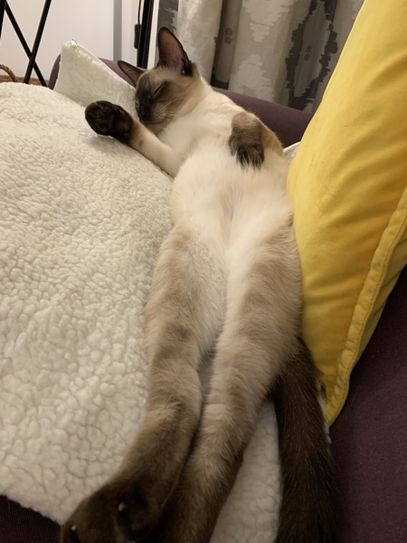 Neutering question