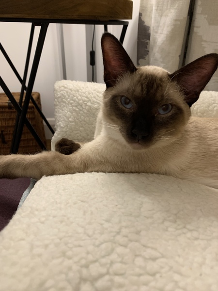 Neutering question