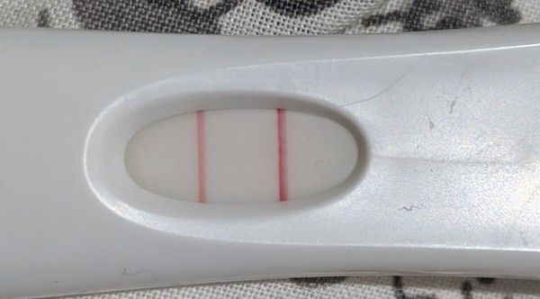 FRER Rapid Response