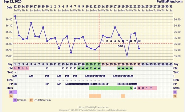 Chart help! Have I ovulated or not this cycle?