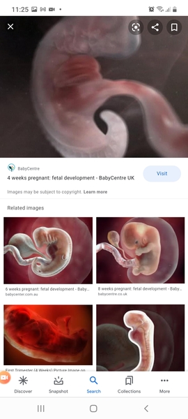 Confused.com