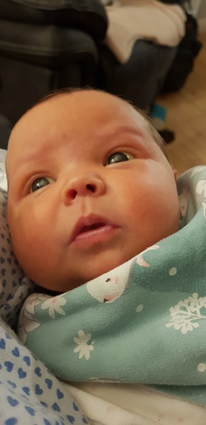Early Oct Babies Part 10