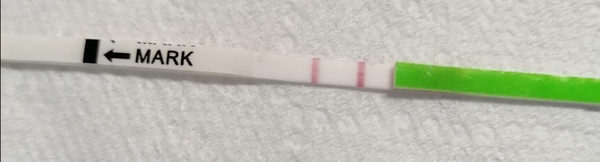 Ovulation around 17-22 Sept who's with me?