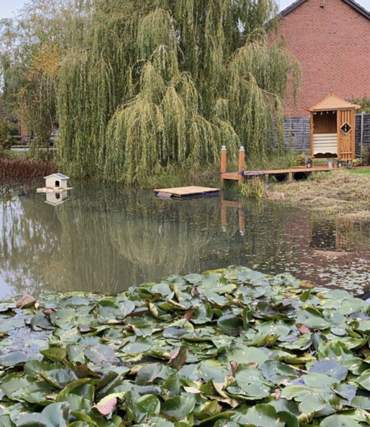 NOT what I expected to wake up to this morning...